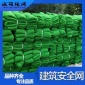 热销供应建筑**网 阻燃**网 工地**网 密目网 支持定做